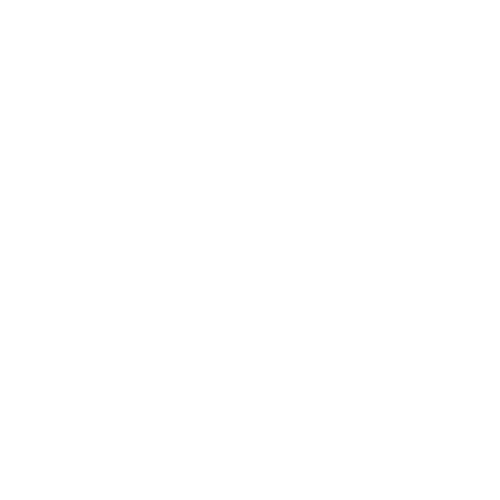 roberto